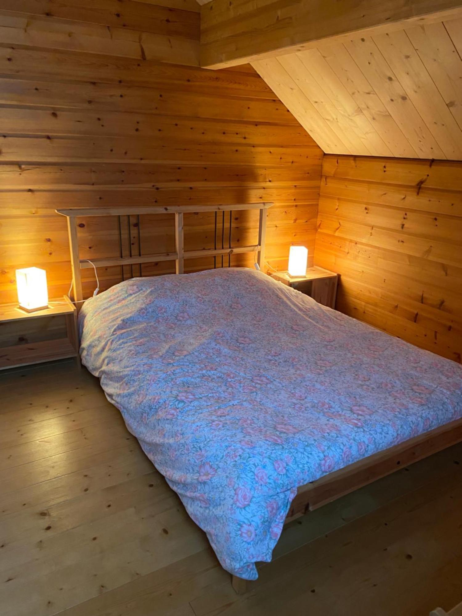 Chalet Aster 3 Etoiles Arrentès-de-Corcieux المظهر الخارجي الصورة